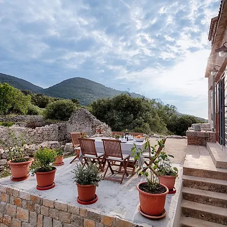 Hébergement de vacances Pool Domina Okljucna